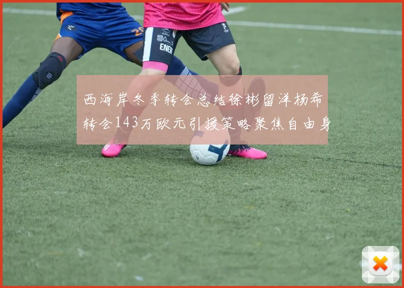西海岸冬季转会总结徐彬留洋杨希转会143万欧元引援策略聚焦自由身球员