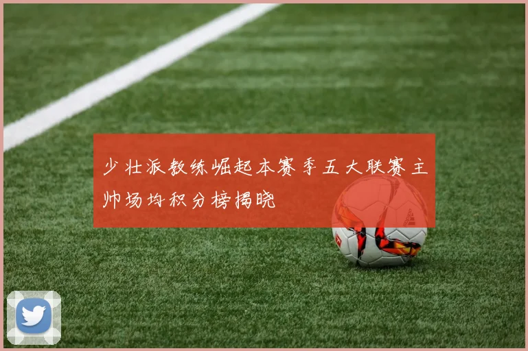 少壮派教练崛起本赛季五大联赛主帅场均积分榜揭晓
