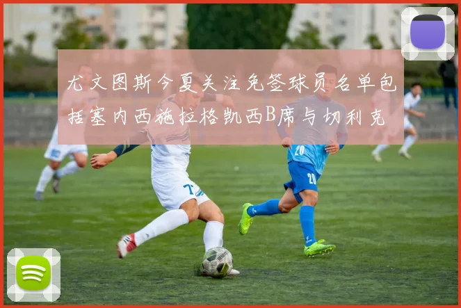 尤文图斯今夏关注免签球员名单包括塞内西施拉格凯西B席与切利克